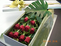 Roses in Box 